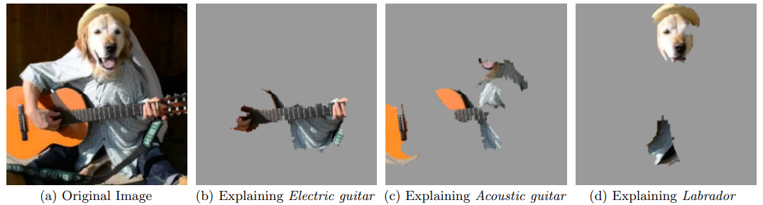 LIME-image-classification.png